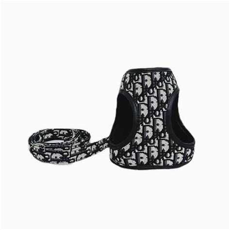 dior dog collar and leash|dior diamond dog accessories.